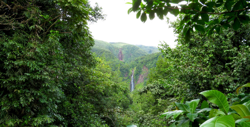 Carbet Wasserfälle Guadeloupe Ausflug Reisebericht