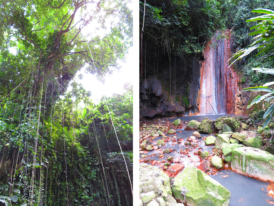 Diamond Waterfall Botanischer Garten St. Lucia Ausflug