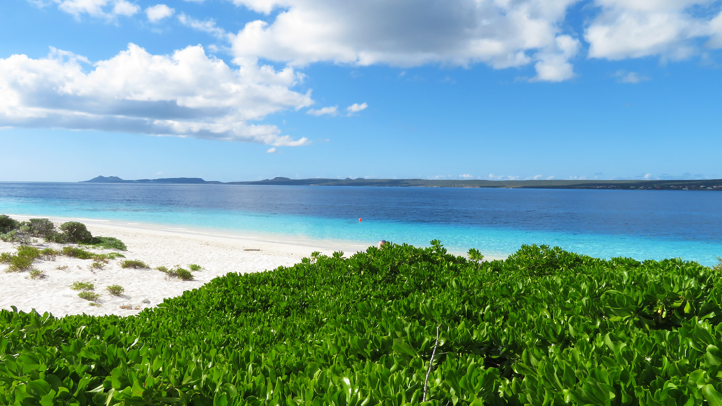 Karibik Kreuzfahrt Klein Bonaire No Name Beach Insel