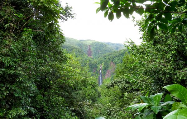Carbet Wasserfälle Guadeloupe Ausflug Reisebericht